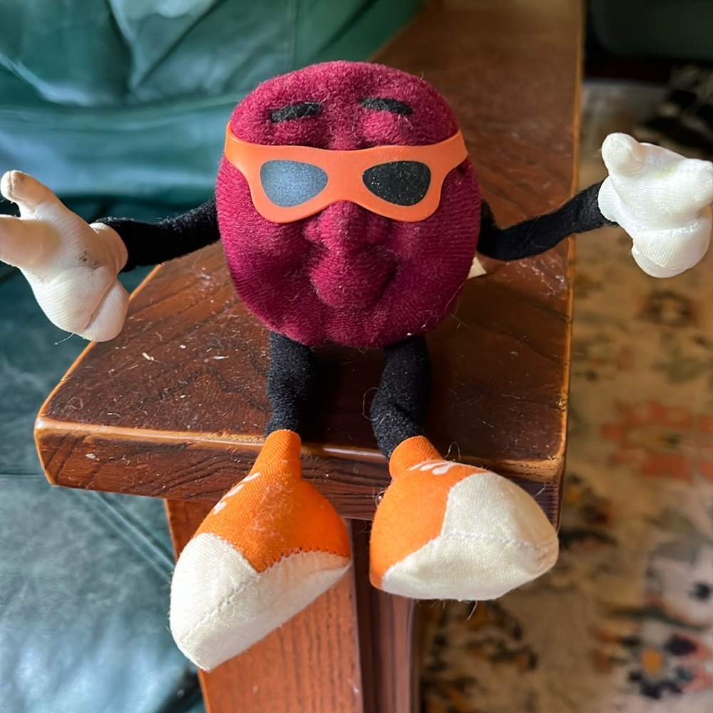 Vintage California raisin Hardee's kids bendable plush